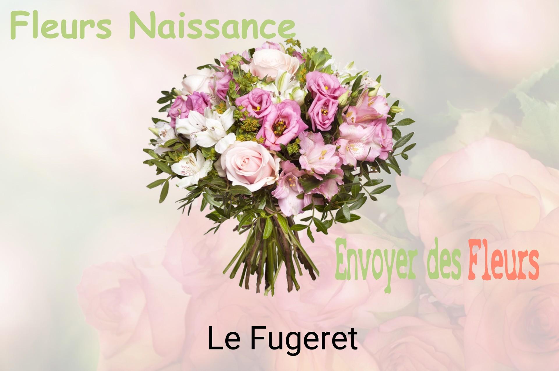 Bouquet de fleurs de naissance livré à Le Fugeret